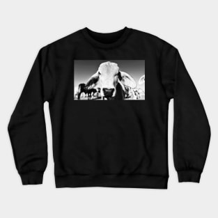 Brahman cow in black and white Crewneck Sweatshirt